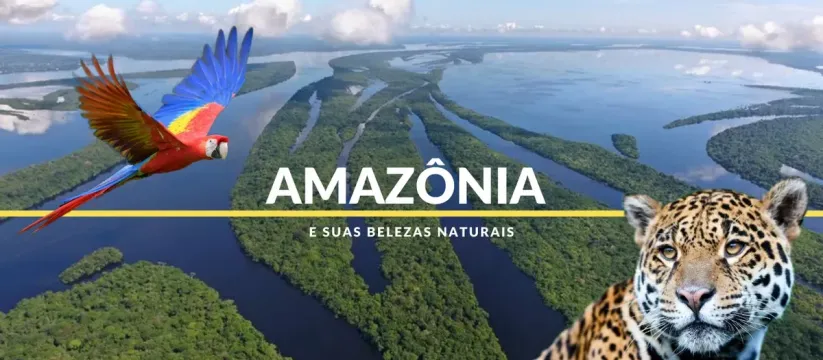 Collab Amazonas